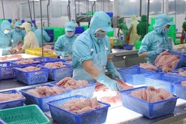 Fishery export grows 6.5% in five months