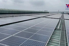 Rooftop solar power industrial parks to meet green energy demand