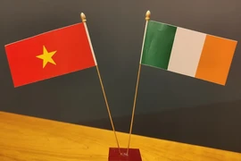 Strengthening Vietnam-Ireland relations