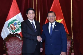 Vietnam’s State President Luong Cuong (left) and President of the Congress of Peru Eduardo Salhuana at their meeting in Lima on November 13 afternoon (local time). (Photo: VNA)