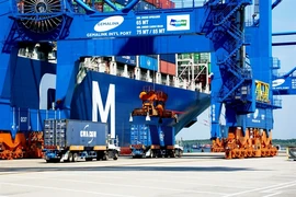 Cargo containers are loaded at Gemalink International Port in Ba Rịa-Vung Tau province. (Photo: VNA)