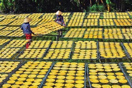 陈文时县陈亥乡干香蕉手工艺村新貌。图自《越南画报》