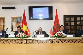主题为“胡志明主席与非洲民族解放运动、越南与摩洛哥关系”研讨会在摩洛哥举行。图自越通社