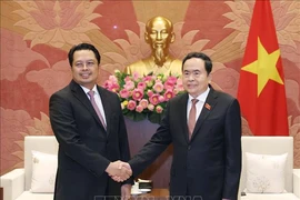 越南国会主席陈青敏会见印度尼西亚参议院副主席马胡丁。图自越通社