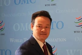 越南常驻日内瓦代表团团长梅潘勇大使。图自越通社