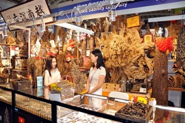 越南木制品和手工艺品在中国—南亚博览会备受欢迎。图自越通社