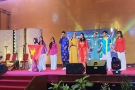 Vietnamese delegation at the 19th ASEAN and 9th ASEAN+3 Youth Cultural Forum held by the ASEAN University Network in Bandar Seri Begawan. (Photo: VNA)