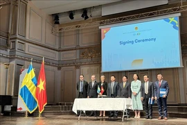 Vietnam-Sweden Business Forum 2024 opens (Photo: VNA)