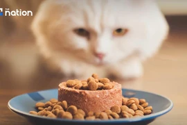 Thailand remains the world's fourth biggest exporter of pet food (Photo: nationthailand.com)