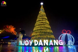 Da Nang to host New Year Festival to attract tourists (Photo: https://baotainguyenmoitruong.vn)