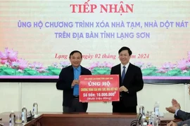 Lang Son aims to complete over 900 houses for the needy before Tet (Photo: VNA)