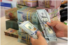 The daily reference exchange rate for the US dollar is set at 24,259 VND/USD on December 12. (Photo: VNA)