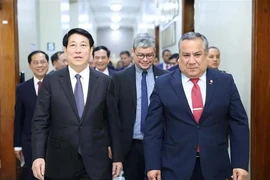 Le président vietnamien Luong Cuong (gauche) et le président du Conseil des ministres du Pérou, Gustavo Adriazén. Photo: VNA