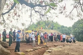 Los turistas visitan la colina A1 en el sitio especial de reliquia nacional del campo de batalla de Dien Bien Phu (Foto: Saigon Giai Phong)