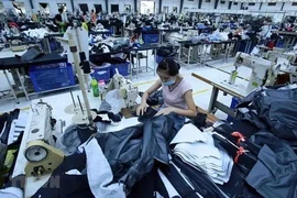 La producción de prendas de vestir en Vietnam para la exportación (Fuente: VNA)
