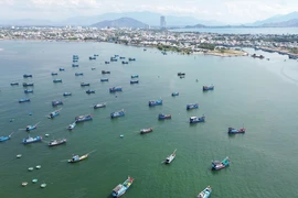 Vietnam por el desarrollo sostenible de la economía marítima e insular