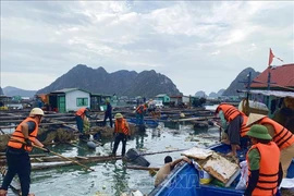 El distrito de Van Don y la ciudad de Cam Pha convocan varias fuerzas para limpieza de la bahía de Bai Tu Long (Fuente: VNA)