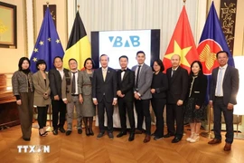 El embajador de Hanoi en Bélgica, Nguyen Van Thao (sexto de la izquierda) y los miembros de la Junta directiva de la VBAB (Fuente: VNA)