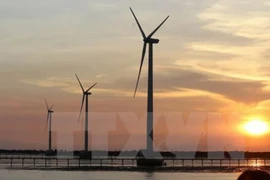 Tra Vinh is calling for investment in eight wind-power plants with a combined capacity of 464 MW. (Photo: VNA)