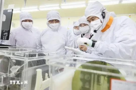 Vietnam gives priority to developing human resources in the area of AI and semiconductor. (Photo: VNA)