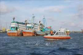 Ba Ria - Vung Tau has exerted efforts to fight IUU fishing. (Photo: VNA)