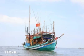 Ca Mau province is stepping up measures to fight against IUU fishing. (Photo: VNA)