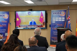 Vice Chairman of the State Committee for Overseas Vietnamese Nguyen Manh Dong speaks from Hanoi. (Photo: VNA)