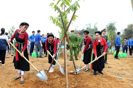 The “planting a billion trees for 2021-2025” project receives enthusiastic response from local residents. (Photo: VNA)