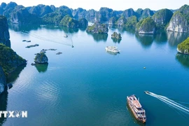 Cat Ba has been included in the bucket list of many nature-lovers who wish to explore its variety of natural ecosystems. (Photo: VNA)