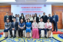 Delegates at the workshop held in Hanoi on November 5. (Photo: SAV)