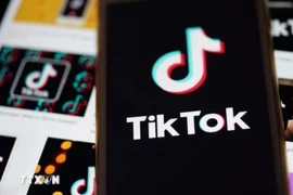 Revenues of TiktokShop increase by 110.6% in the third quarter. (Photo: AFP/VNA)