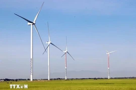 Vietnam is developing renewable energy to deliver on its carbon neutrality target by 2050. (Photo: VNA)