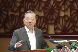 Party General Secretary To Lam speaks at the working session with the Standing Board of the Party Committee of Dong Thap province on December 11. (Photo: VNA)