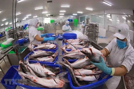 Vietnam becomes second largest supplier of white fish to US