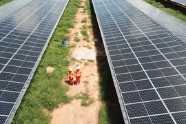 Mekong Delta works to advance renewable energy development