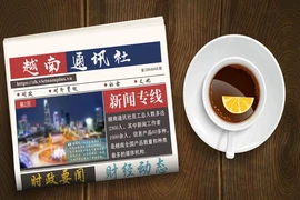 ☕️越通社新闻下午茶（2024.5.4）