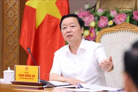 陈红河副总理发表讲话。图自越通社