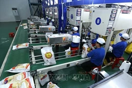 芹苴市忠安高技术农业股份公司大米加工厂的出口大米包装线。图自越通社