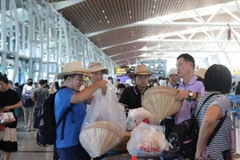 来到岘港市参观游览的游客。图自越通社