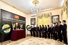 越南驻匈牙利大使馆举行吊唁仪式。图自越通社