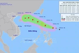 第8号台风的路径。图自越通社