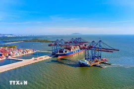 Actividades de importación y exportación en el puerto de aguas profundas de Gemalink. (Foto: VNA)