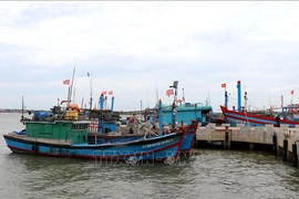Las embarcaciones pesqueras en Quang Tri. (Fuente: VNA)