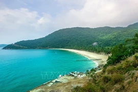 Пляж на острове Ку Лао Чам, входящем в состав всемирного биосферного заповедника Ку Лао Чам - Хой Ан (Фото: ВИA)