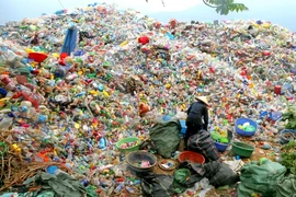 Пластиковыеотходы собирают для переработки. (Фото: ВИA) 