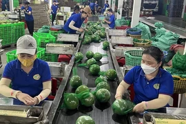 Восстановление экспорта способствует экономическому росту Вьетнама - Иллюстративное изображение (Фото: Интернет)