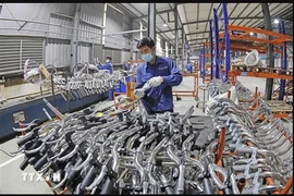 ВРВП Ханоя в первом полугодии вырос на 6%. (Фото: ВИA)