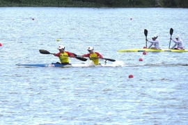 Вьетнамские спортсмены показали отличные результаты в первый день чемпионата по гребле на каноэ. (Фото: ВИA)