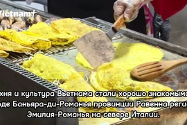 Распространение любви к Вьетнаму на Фестивале этнической культуры «Баньяра»