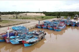 Buques pesqueros en la provincia de Quang Binh (Fuente: VNA)